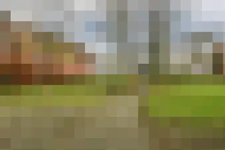 Dolingadreef 151 Amsterdam thumbnail 26