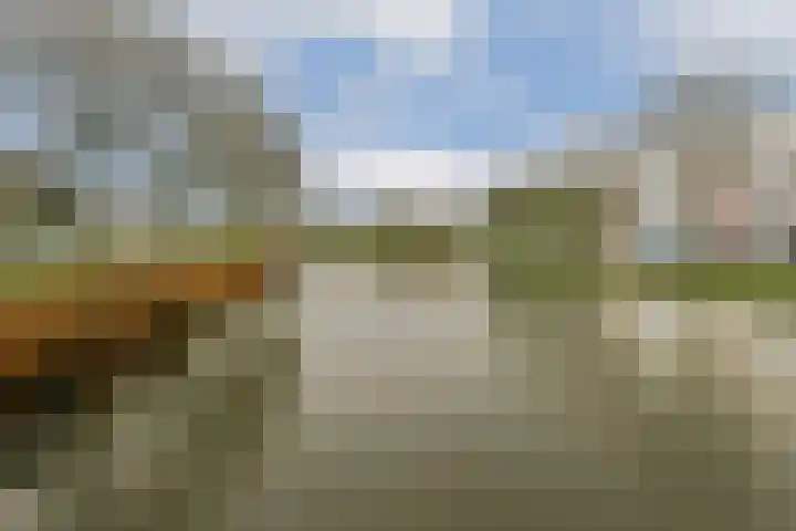 Dolingadreef 151 Amsterdam thumbnail 28