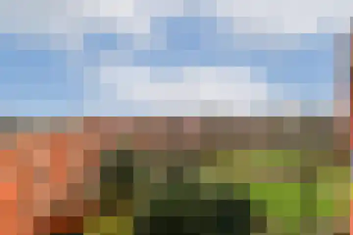 Dolingadreef 151 Amsterdam thumbnail 5