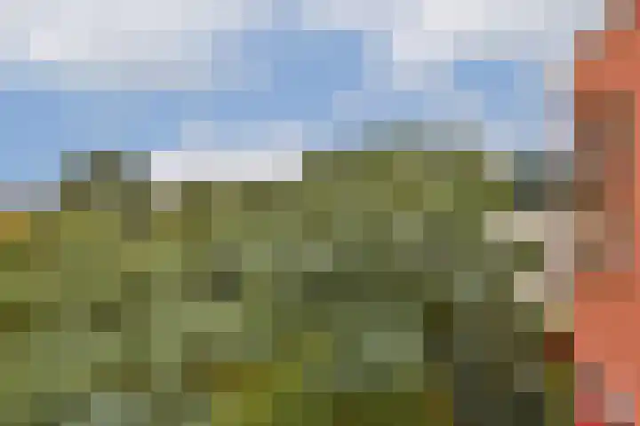 Dolingadreef 213 Amsterdam thumbnail 10