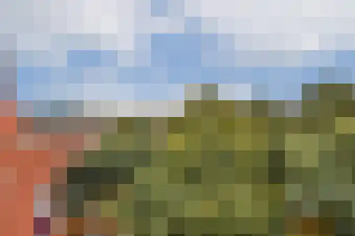 Dolingadreef 213 Amsterdam thumbnail 11