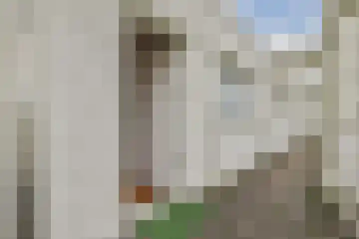 Dolingadreef 213 Amsterdam thumbnail 18