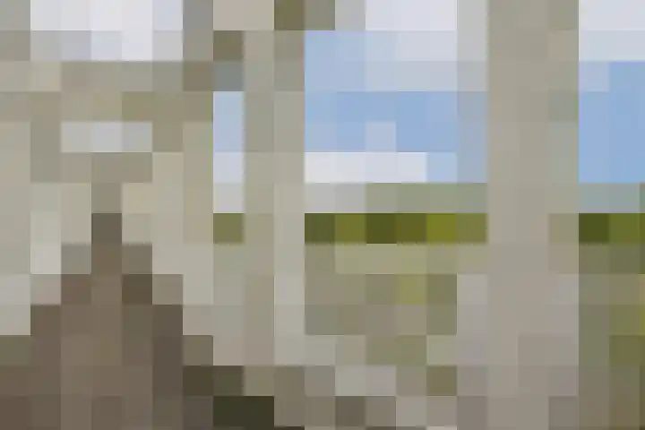 Dolingadreef 213 Amsterdam thumbnail 19