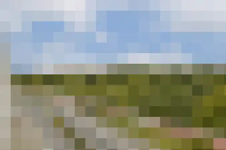 Dolingadreef 213 Amsterdam thumbnail 20