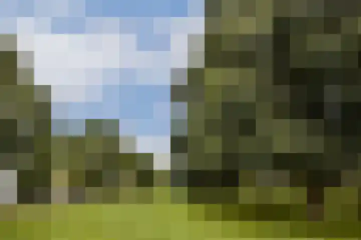 Dolingadreef 213 Amsterdam thumbnail 22