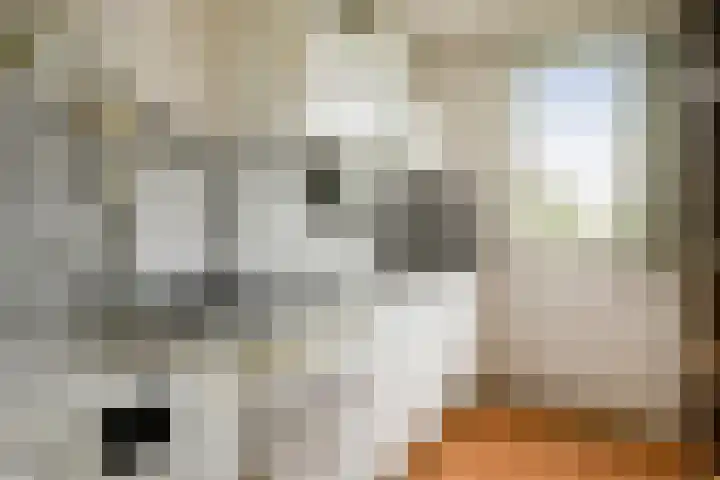 Dolingadreef 213 Amsterdam thumbnail 7