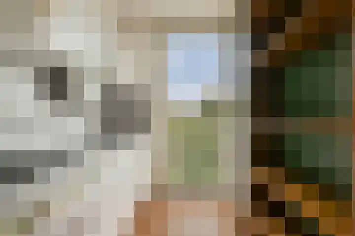 Dolingadreef 213 Amsterdam thumbnail 9