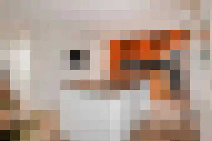 Dolium 8 Veldhoven thumbnail 11