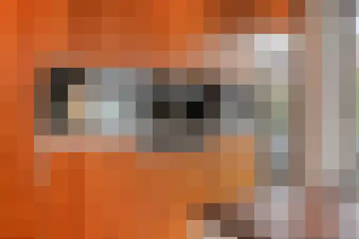 Dolium 8 Veldhoven thumbnail 12