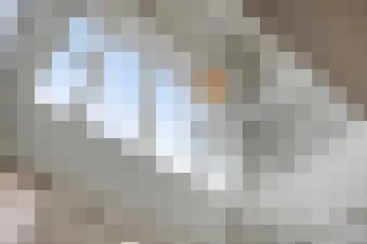 Dolium 8 Veldhoven thumbnail 18