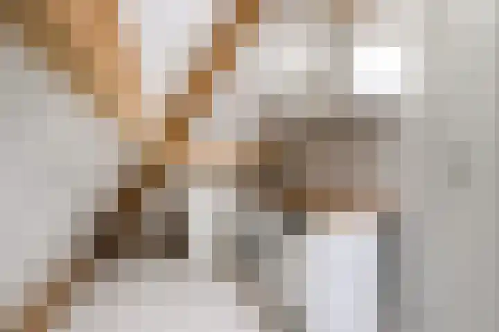 Dolium 8 Veldhoven thumbnail 35