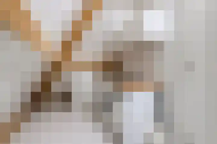 Dolium 8 Veldhoven thumbnail 36