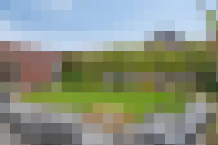 Dolium 8 Veldhoven thumbnail 42