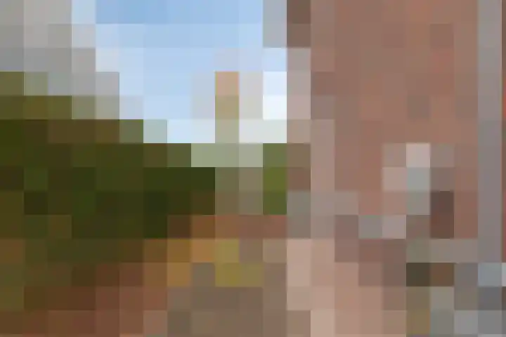 Dolium 8 Veldhoven thumbnail 47