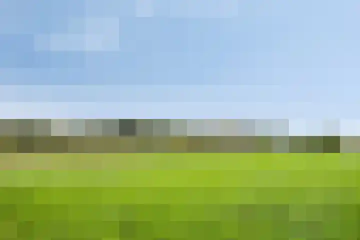 Dolium 8 Veldhoven thumbnail 55