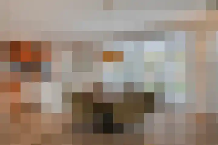 Dolium 8 Veldhoven thumbnail 9