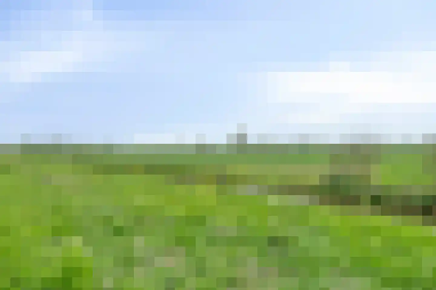 Doliumstraat 12 Tiel thumbnail 33