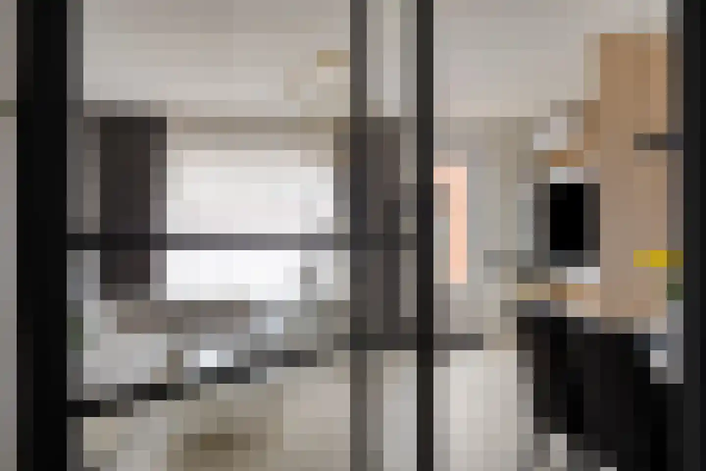 Doliumstraat 12 Tiel thumbnail 6
