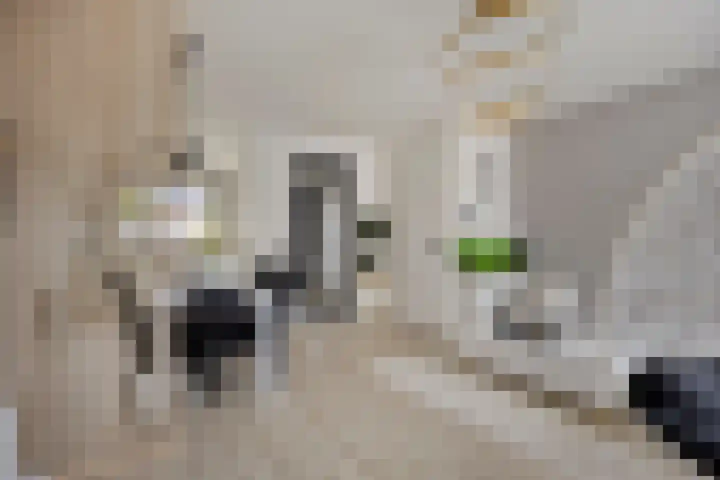 Doliumstraat 12 Tiel thumbnail 8
