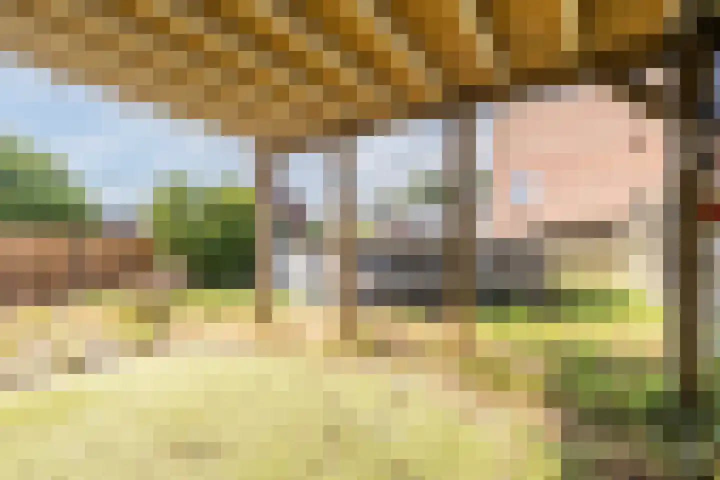 Dollard 1 Veendam thumbnail 44