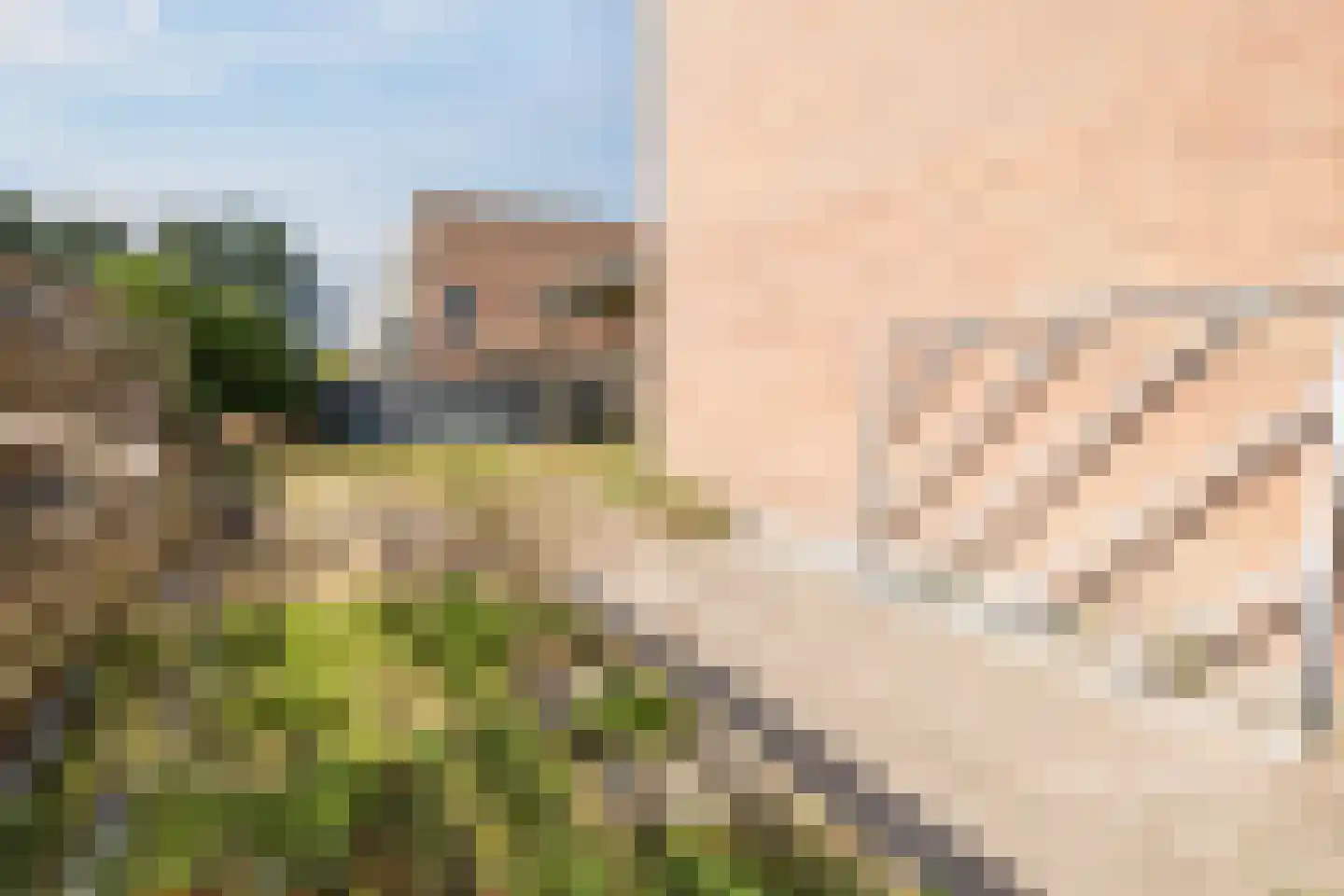 Dollard 1 Veendam thumbnail 50