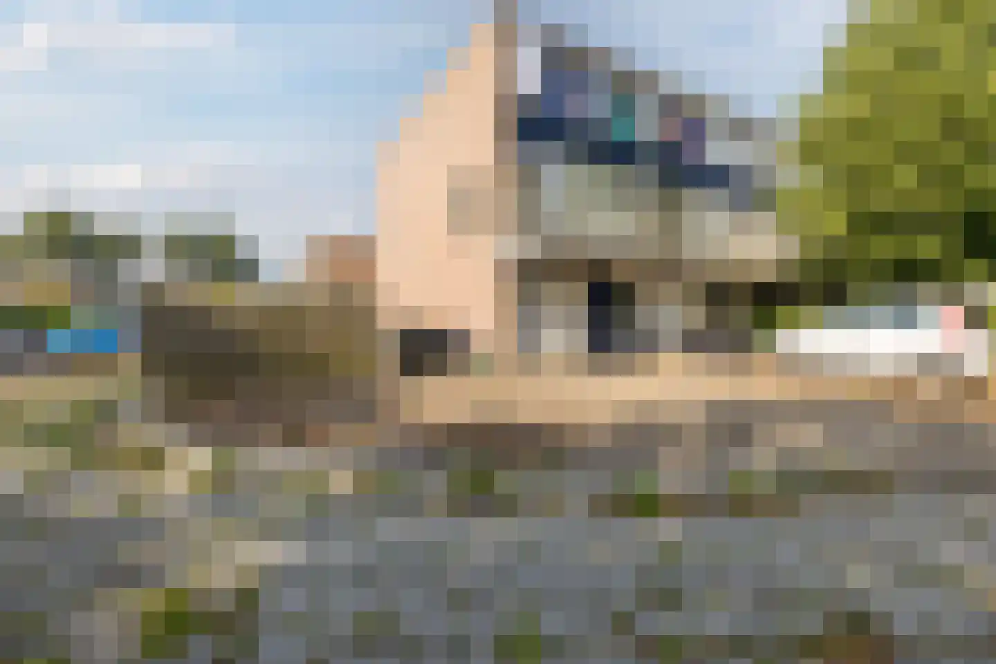 Dollard 1 Veendam thumbnail 6
