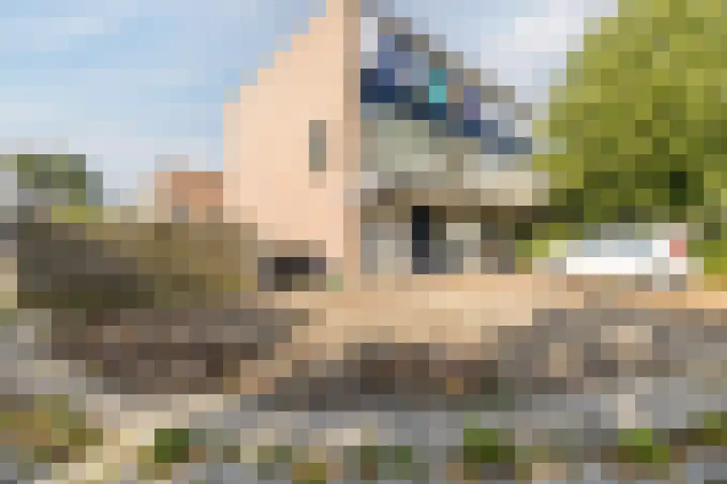 Dollard 1 Veendam thumbnail 7