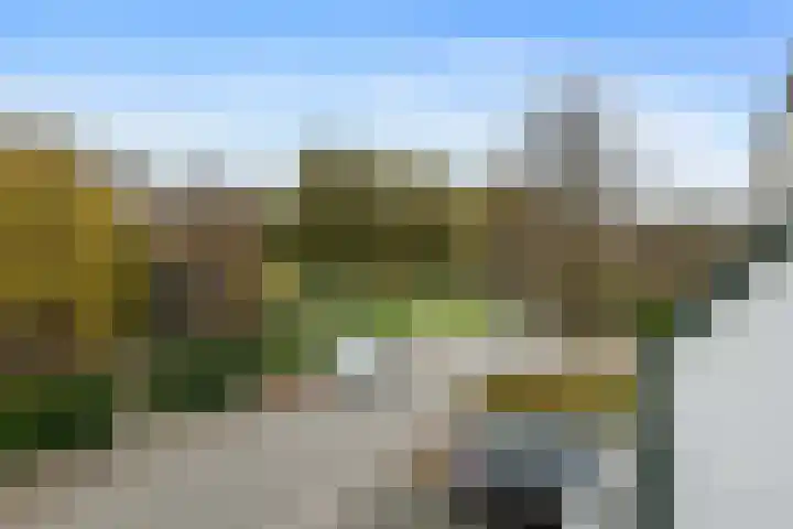 Dollard 11 Veendam thumbnail 15