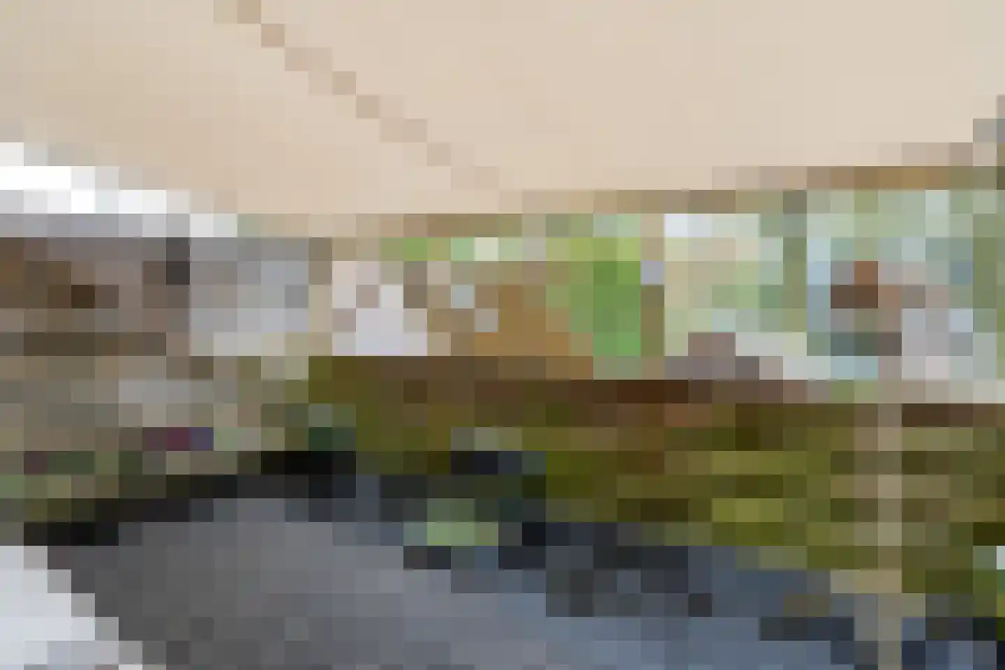 Dollard 23 Veendam thumbnail 12
