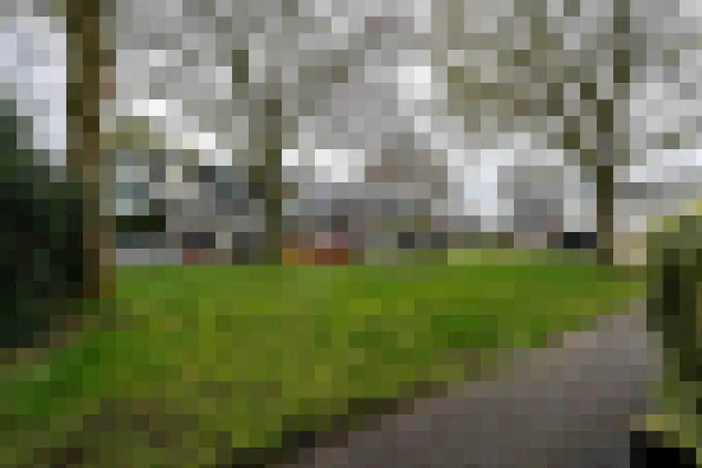 Dollard 23 Veendam thumbnail 34