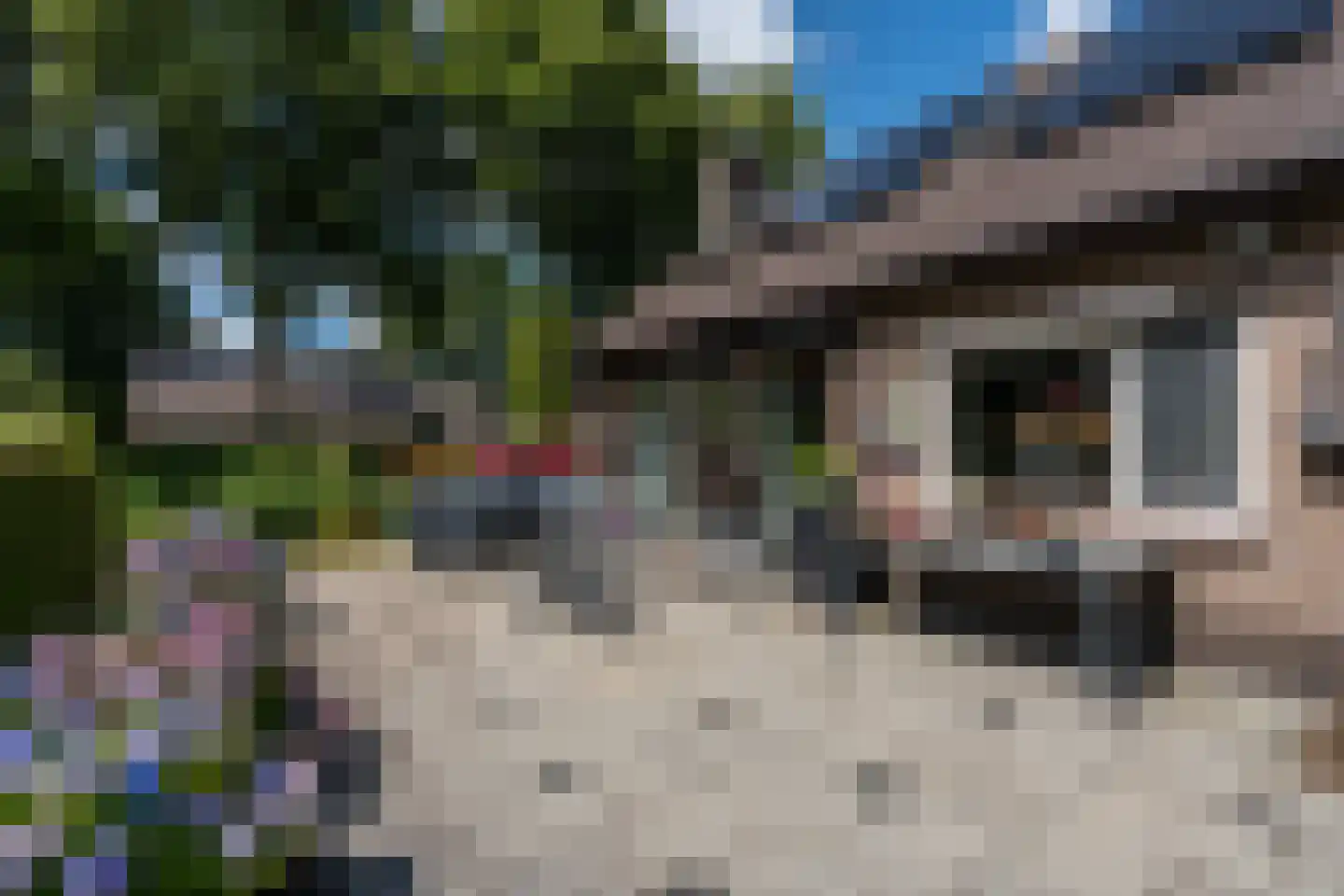 Dollard 67 Veendam thumbnail 32