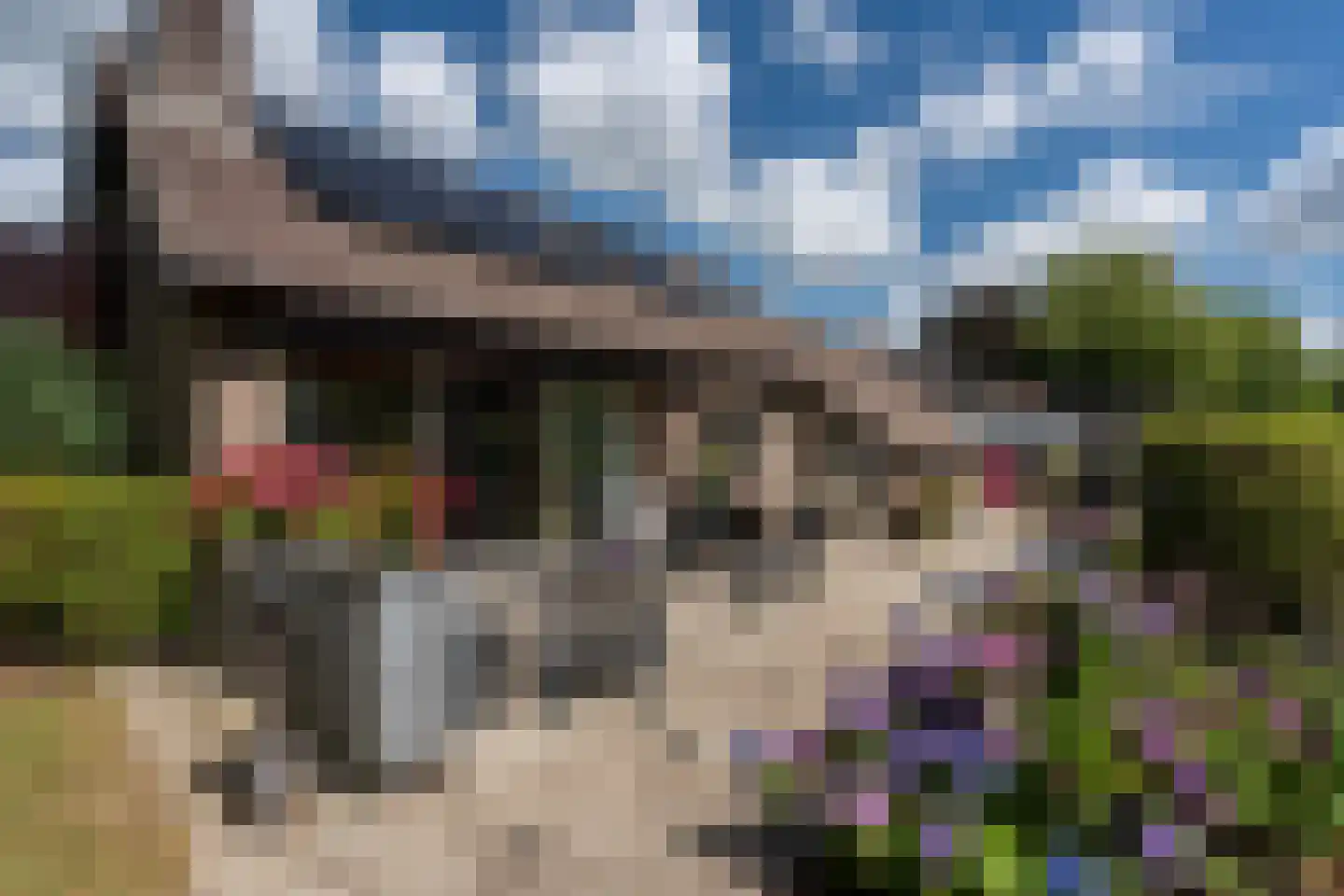 Dollard 67 Veendam thumbnail 43