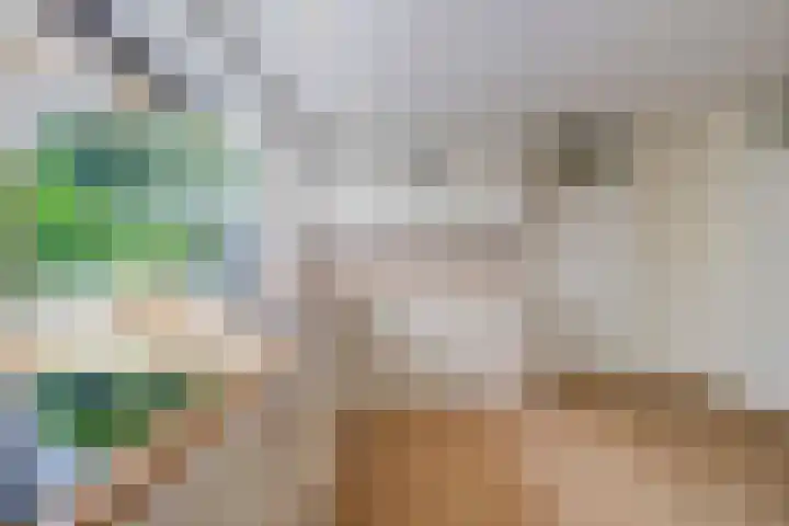 Dollardlaan 1 Den Helder thumbnail 14