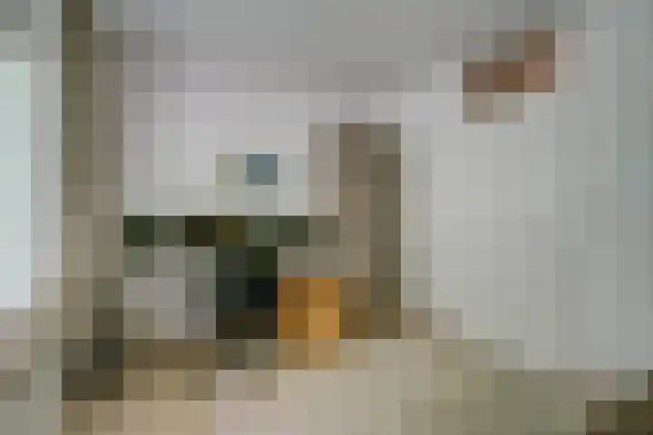 Dollardlaan 1 Den Helder thumbnail 19