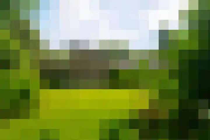 Dollardlaan 1 Den Helder thumbnail 28