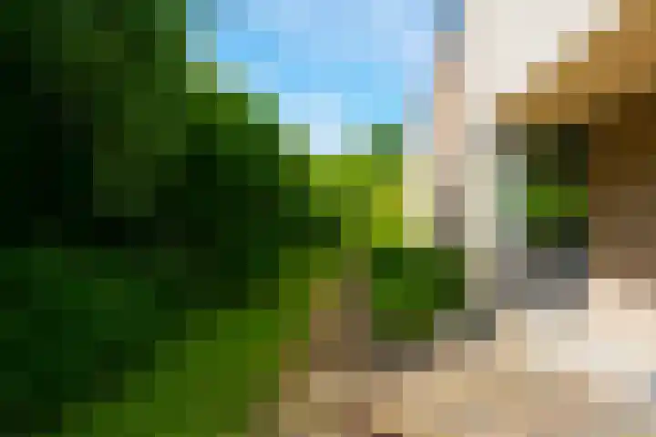 Dollardlaan 1 Den Helder thumbnail 30
