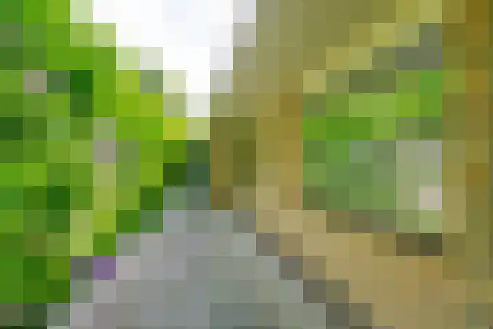 Dollardlaan 1 Den Helder thumbnail 31