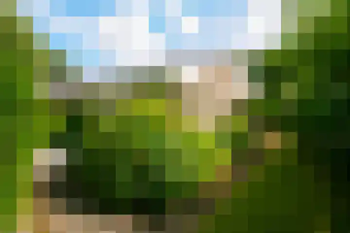 Dollardlaan 1 Den Helder thumbnail 33