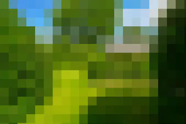 Dollardlaan 1 Den Helder thumbnail 34