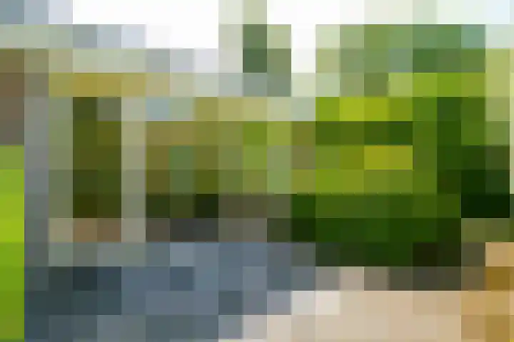 Dollardlaan 1 Den Helder thumbnail 36