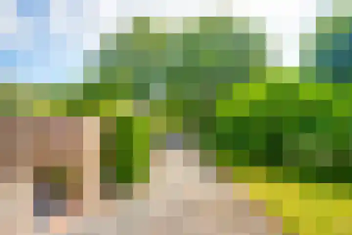 Dollardlaan 1 Den Helder thumbnail 37