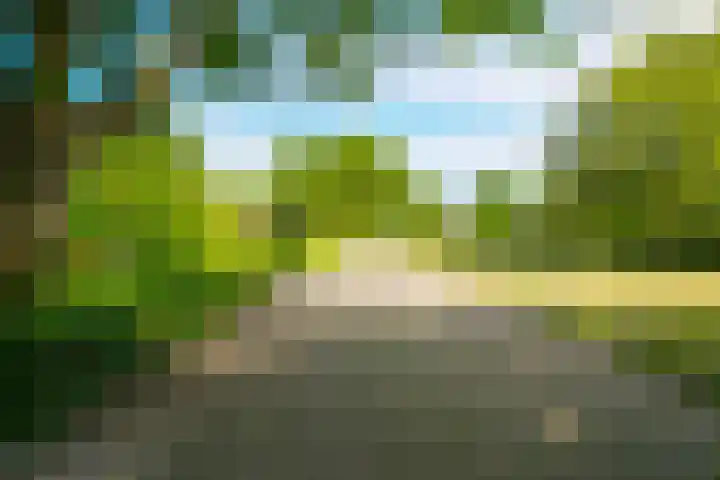 Dollardlaan 1 Den Helder thumbnail 39