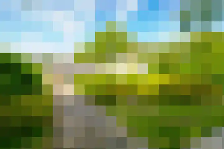 Dollardlaan 1 Den Helder thumbnail 5