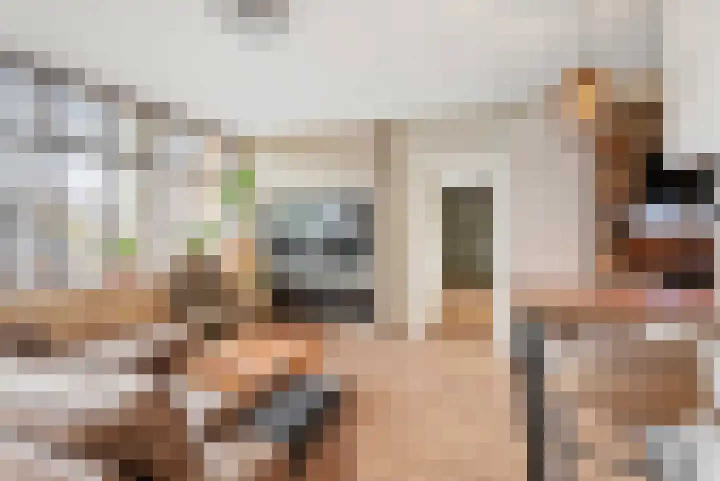 Dollardlaan 102 A Den Helder thumbnail 10