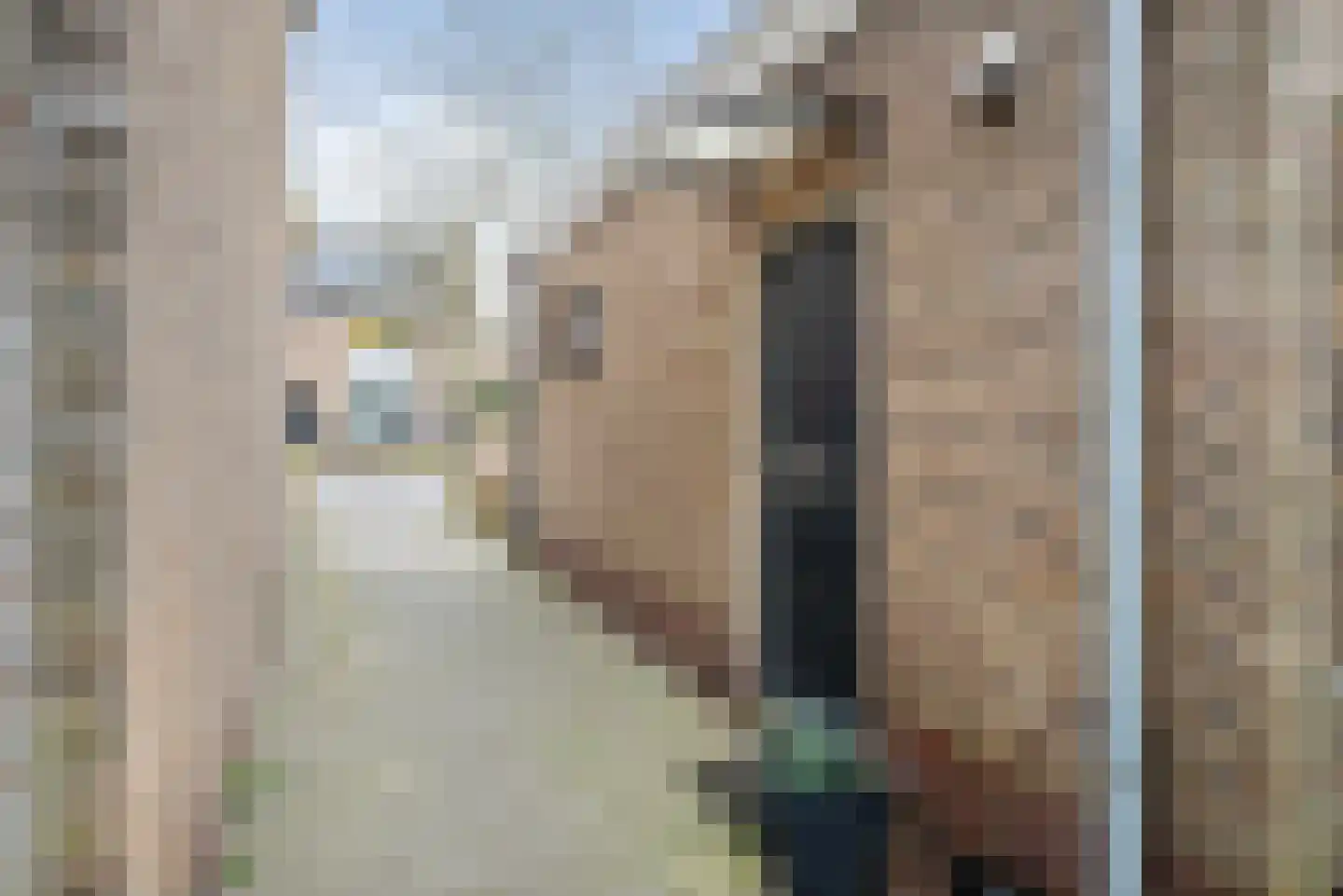 Dollardlaan 102 A Den Helder thumbnail 4