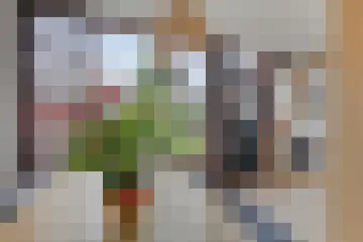 Dollardlaan 26 Scheemda thumbnail 12