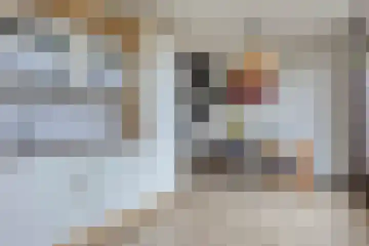 Dollardlaan 26 Scheemda thumbnail 13
