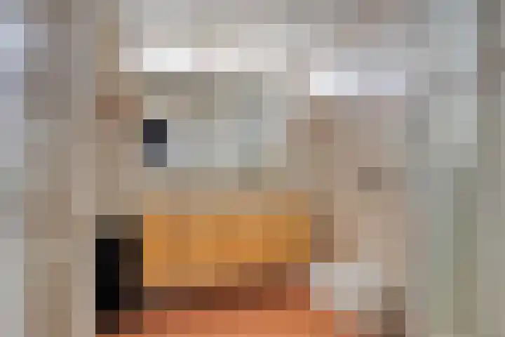 Dollardlaan 26 Scheemda thumbnail 14