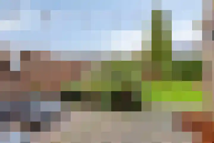 Dollardlaan 26 Scheemda thumbnail 20
