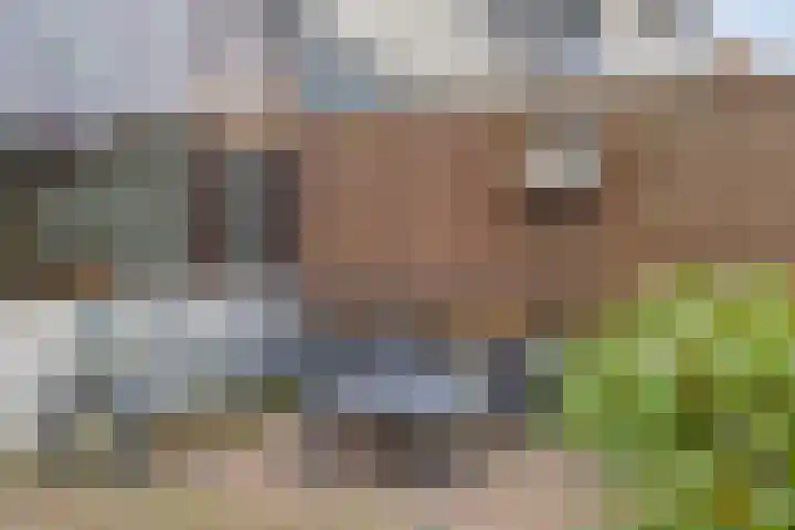 Dollardlaan 26 Scheemda thumbnail 21